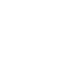 Raizen.png